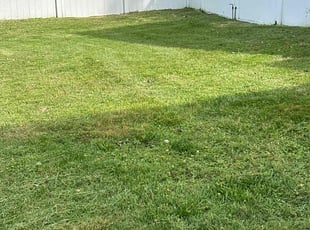 Loretta R.'s Lawn Service service result