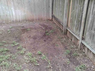 Leaf Removal by Robert Candanoza for Renee G. in Bastrop, TX