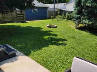 Lohan P.'s Lawn Mowing service result