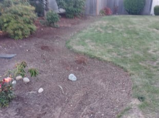 Cleanups by Trevor Vert for Billie S. in Federal Way, WA