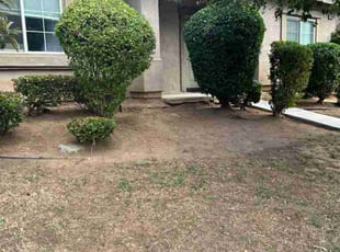 Bush Trimming by Edward Walsh for Veronica M. in Grand Terrace, CA