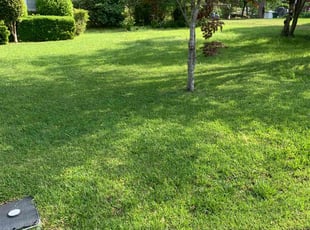 John S.'s Lawn Care service result