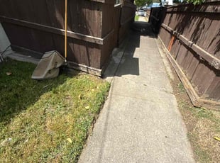 Leaf Removal by Maria Almendra for Shantel M. in Pittsburg, CA
