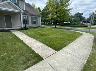 Ronald L.'s Lawn Service service result