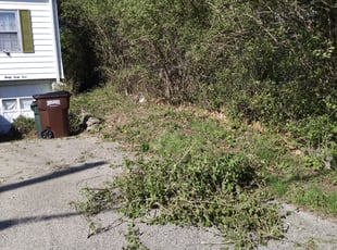 Sherri D.'s Bush Trimming service result