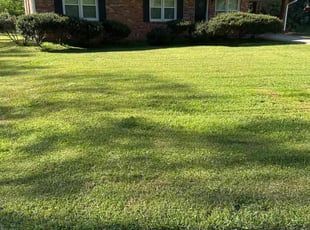Derek H.'s Lawn Care service result