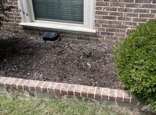 Allon B.'s Flower Bed Weeding service result