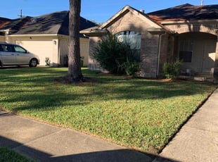 Baylor H.'s Lawn Service service result