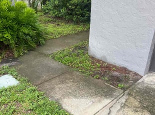 Marilyn R.'s Flower Bed Weeding service result