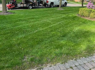 Eddie T.'s Lawn Maintenance service result