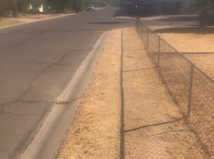 Cleanups by Ryan Stan for Diana A. in Phoenix, AZ
