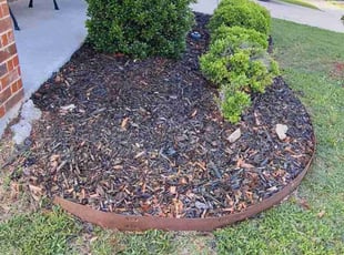 Weeding by Jesus Valencia for Brittany Y. in Little Elm, TX