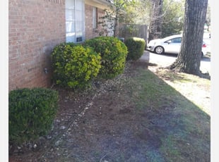 Bush Trimming by Aundra Thomas for Janell W. in Fort Worth, TX