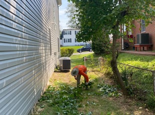 Bush Trimming by Angel P. for Steven B. in Falls Church, VA