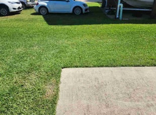 Calvin w.'s Lawn Service service result