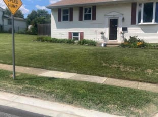 Colleen H.'s Yard Cutting service result