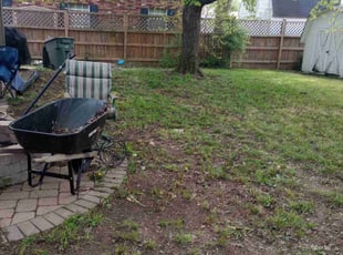 Leaf Removal by Greg Moore for Marcos V. in Columbus, OH