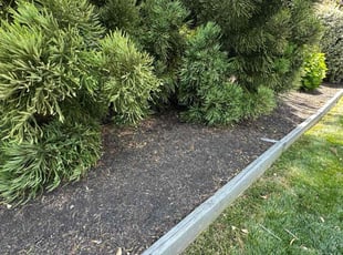 Leaf Removal by Fidel Rodriguez for Brett S. in Vienna, VA