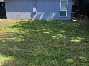 Keith R.'s Yard Cutting service result
