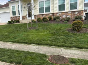 Kathleen C.'s Lawn Maintenance service result