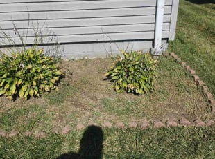 Weeding by Richard Vonderau for Nathan J. in Cleveland, OH
