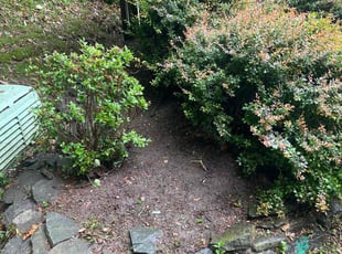 Leaf Removal by Gilbert Osorio for Sarah C. in Springfield, VA