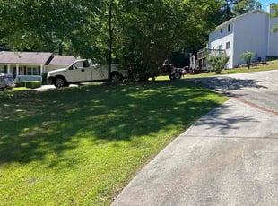 Celeste M.'s Lawn Care service result