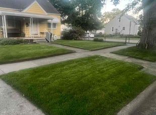 Marsha L.'s Lawn Care service result