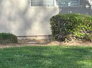 Bush Trimming by Johnie Parker for Jamie D. in Fresno, CA