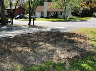 Cleanups by Caleb Beckstein for Aja P. in Charlotte, NC