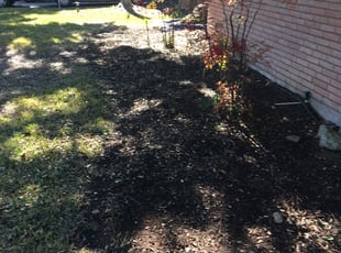 Landscaping by Chaes Pate for Shaun H. in Windcrest, TX