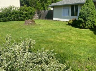 Tammy T.'s Lawn Maintenance service result