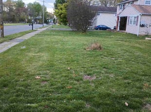 Leaf Removal by Michael Ellick for Kaeley B. in Washington Township, NJ