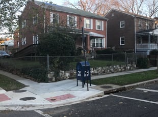 Bush Trimming by Kamonta Hackey for Ellen N. in Washington, DC
