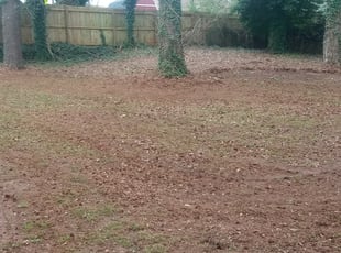 Cleanups by Noel Gilbert for Corey W. in Decatur, GA