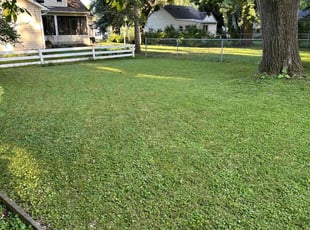 Bri G.'s Lawn Mowing service result