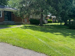 Arslan N.'s Lawn Service service result
