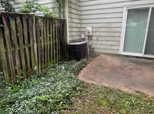 Denise T.'s Cleanups service result