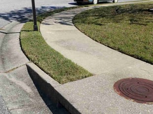 Frances P.'s Lawn Care service result