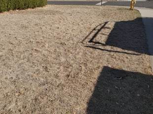 Cleanups by Josh Brown for Brittany S. in Denver, CO