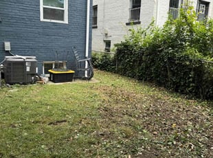 Leaf Removal by Darrel Kelton for Haneen N. in Washington, DC