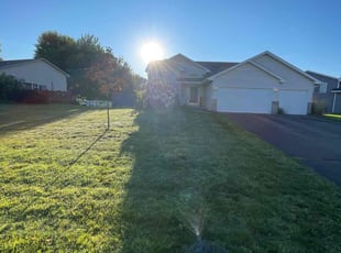 Damian M.'s Yard Cutting service result