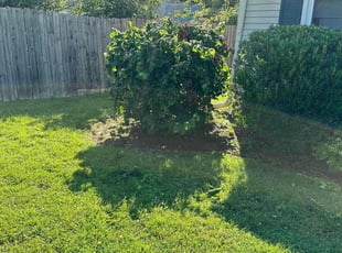 Weeding by Justin Norris for Kevin L. in Chesapeake, VA