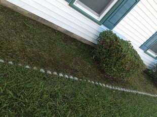Weeding by Bradley Caswell for Chris T. in Virginia Beach, VA