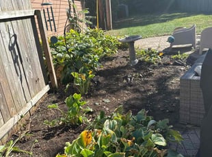 Weeding by Luis Contreras for Sloan C. in Indianapolis, IN