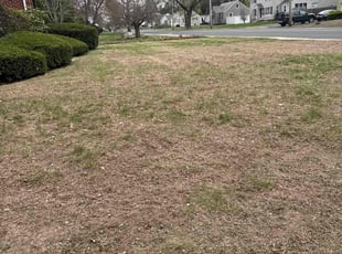 Leaf Removal by Harry Figueroa for Andres R. in Springfield, MA