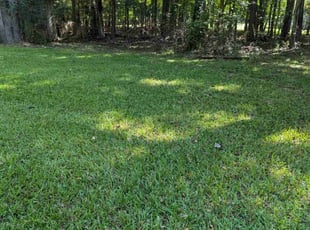 Joshua C.'s Lawn Mowing service result