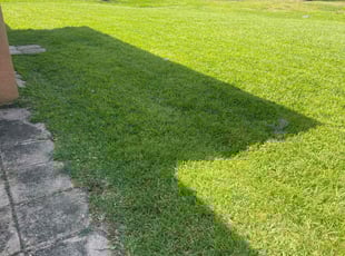 Anthony E.'s Lawn Care service result