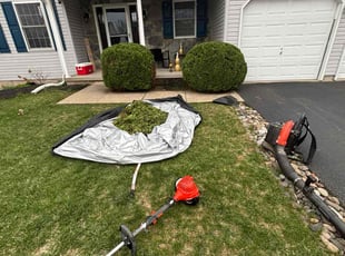 Maureen M.'s Lawn Mowing service result