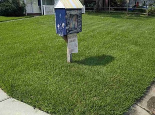 Ngoc B.'s Lawn Mowing Service service result